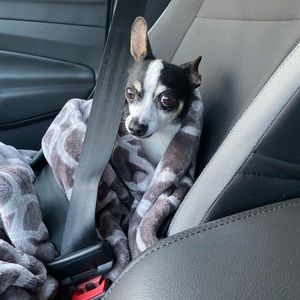 Meet your Posher, Pamela